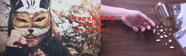 ПСИЛОЦИБИНОВЫЕ ГРИБЫ Алзамай