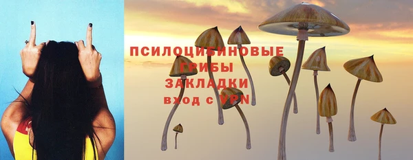ПСИЛОЦИБИНОВЫЕ ГРИБЫ Алзамай
