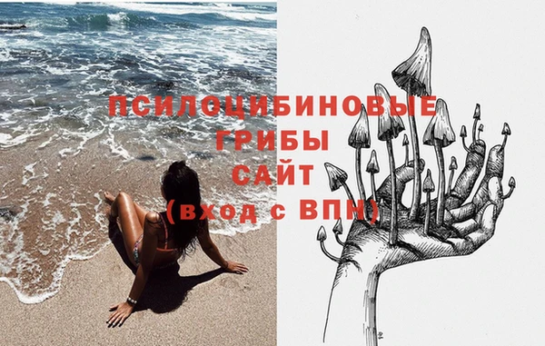 ПСИЛОЦИБИНОВЫЕ ГРИБЫ Алзамай