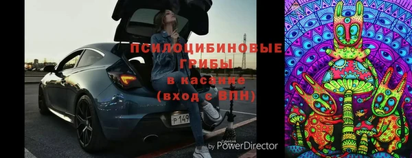 стафф Алексин
