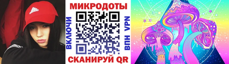 Псилоцибиновые грибы GOLDEN TEACHER  купить наркотик  Безенчук 