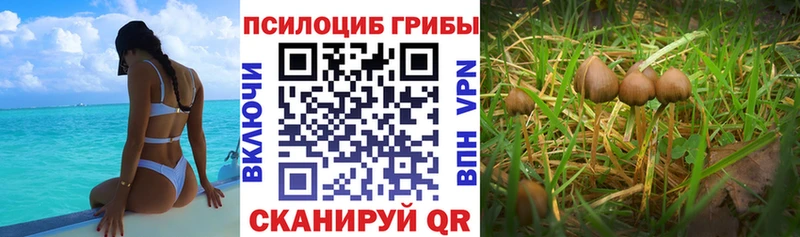 Галлюциногенные грибы мухоморы Безенчук